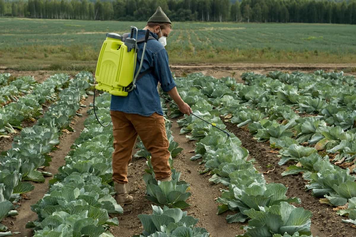 Farmer Spraying Pesticides in the Field