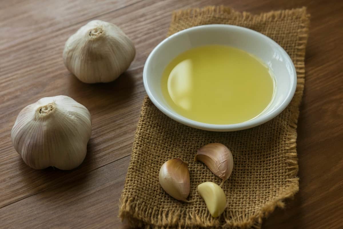 Garlic and Its Oil