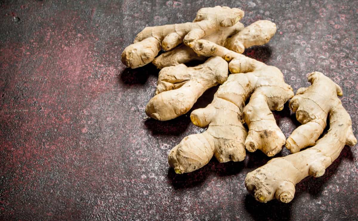 How to Control Ginger Pests Naturally