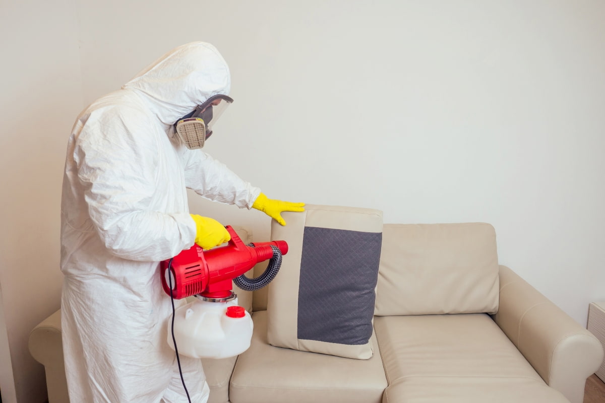 Worker Spraying Pesticides Under Couch