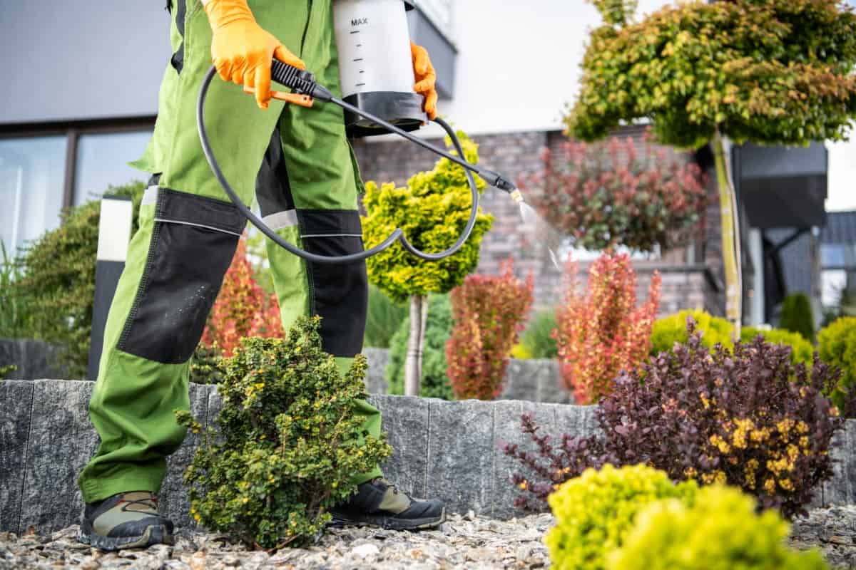 How to Get Rid of Landscape Pests with Homemade Sprays
