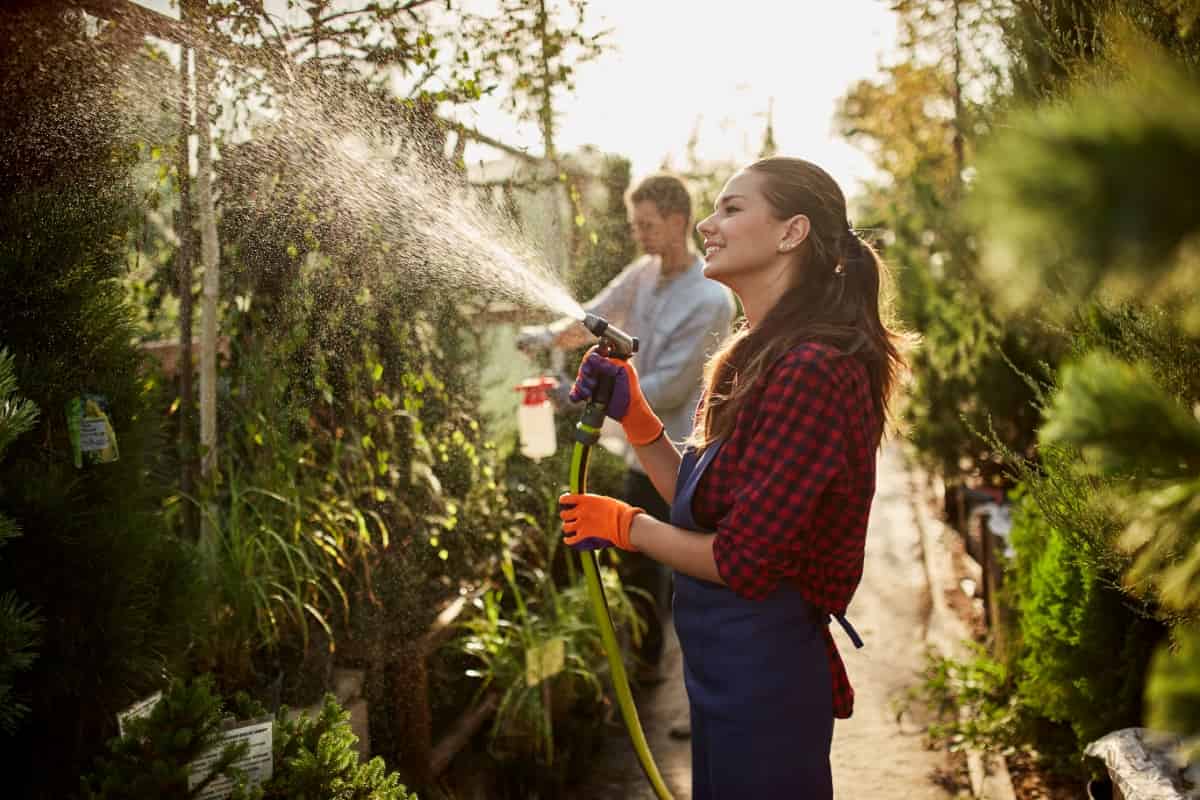 Gardener Spraying Water