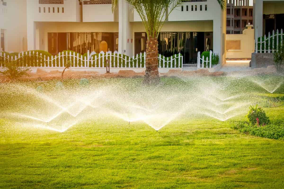 Water Sprinkler Spraying Over Lawn