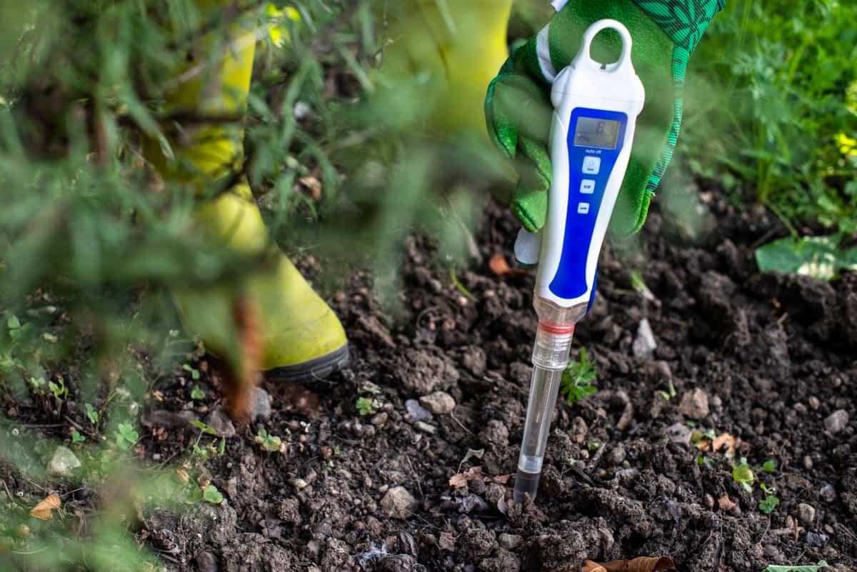 pH Meter Tester in Soil