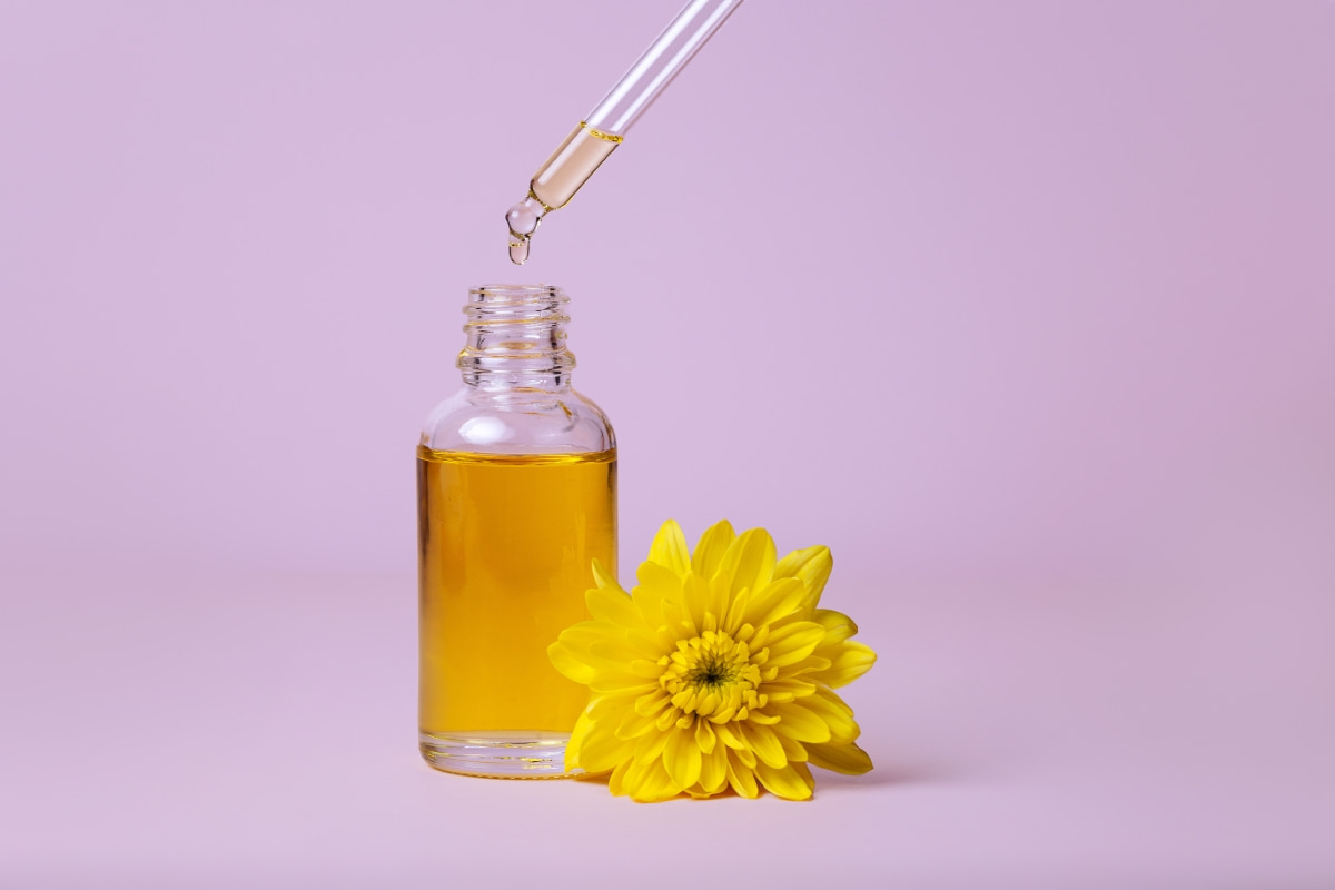 How to Use Chrysanthemum Oil for Pest Control
