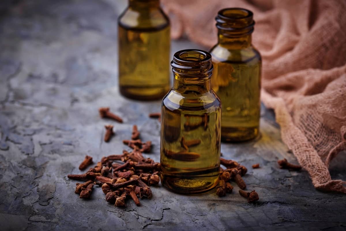 How to Use Clove Oil for Pest Control