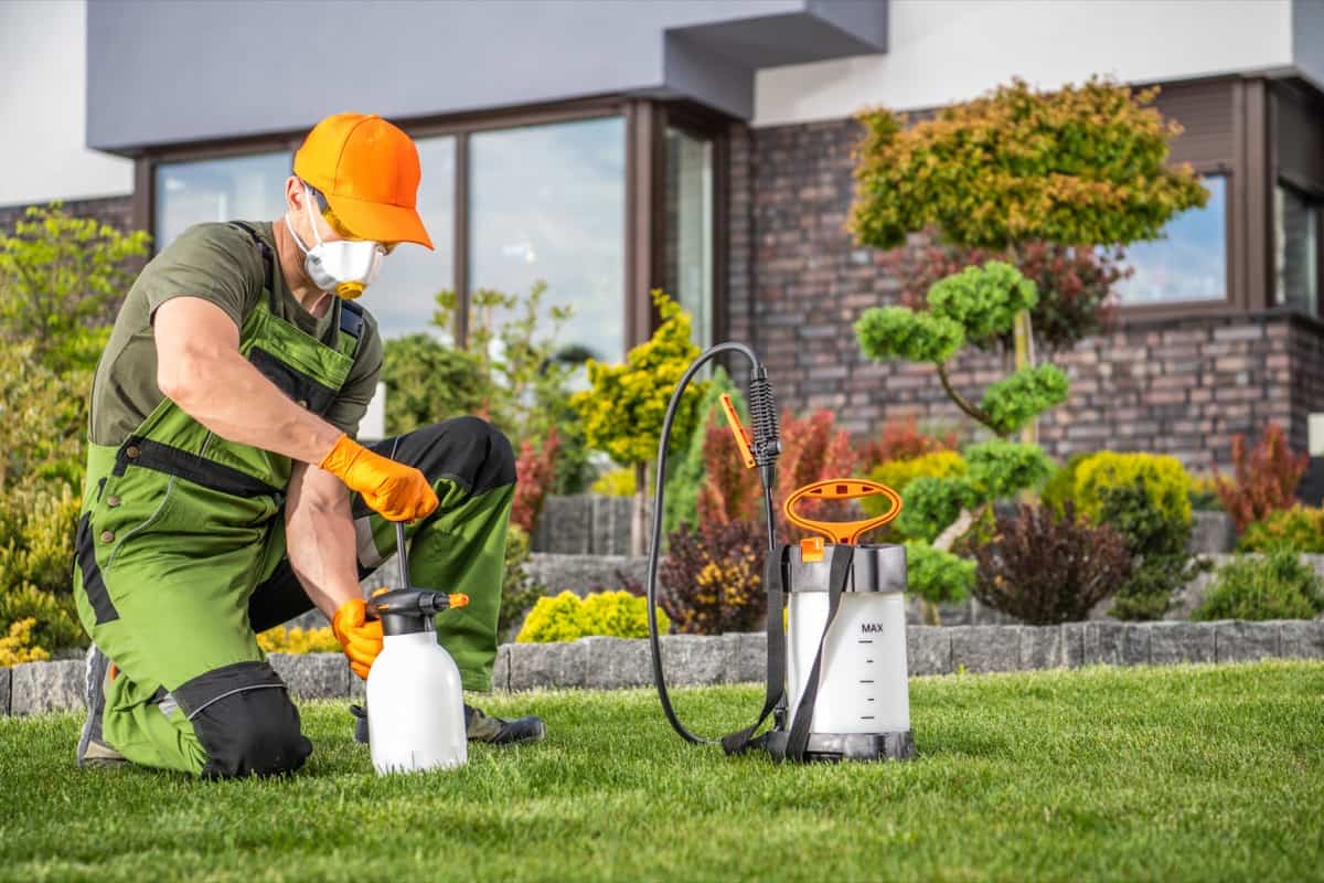 Chemical Sprayer for Home Garden