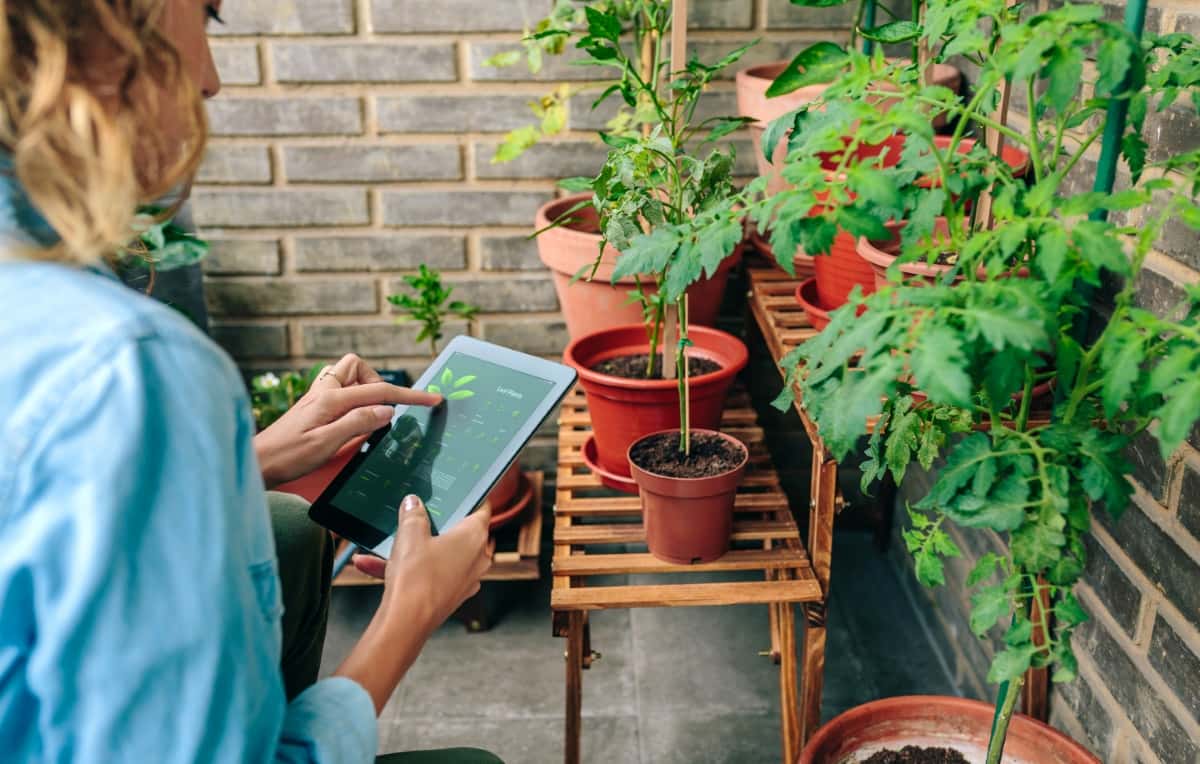 Using Gardening App to Care Plants