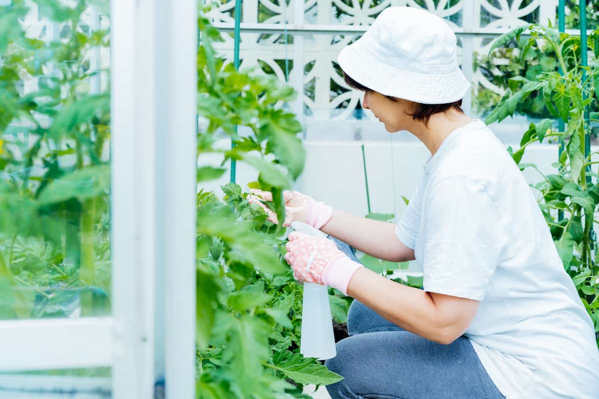 Women Spraying Fertilizer to Plants