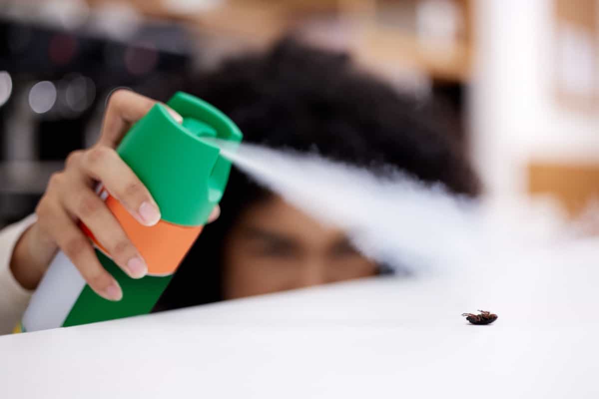Natural Bed Bug Killer Sprays in India