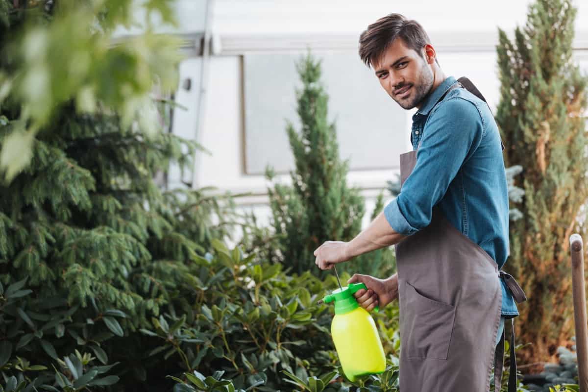 gardener spraying plants while working in garden