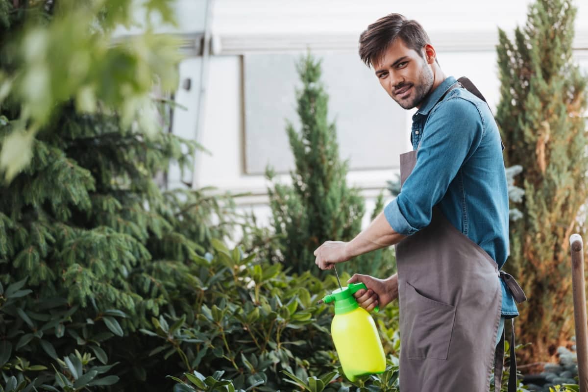 Gardener Spraying Plants While Working in Garden