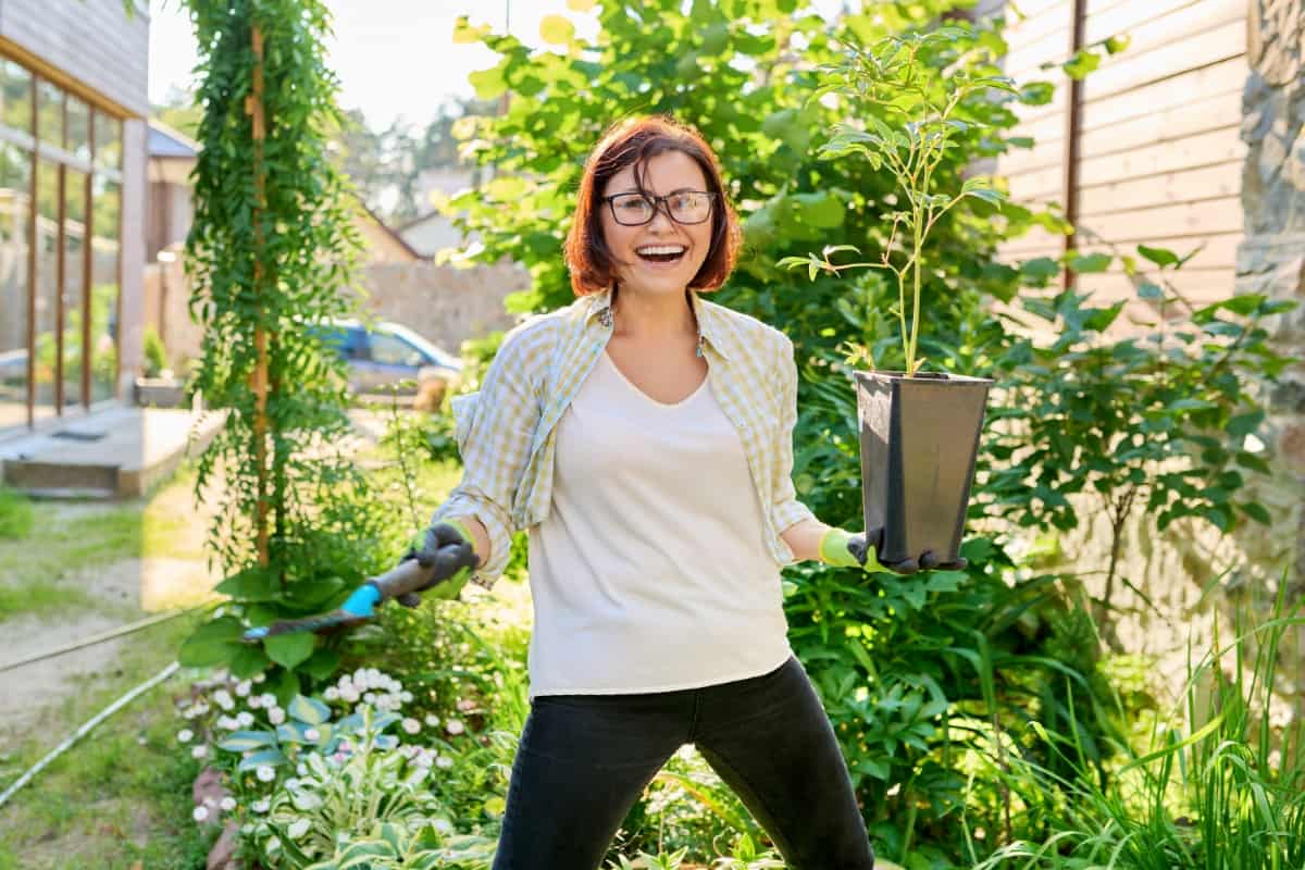 Practices to Prevent Disease Spread in the Garden