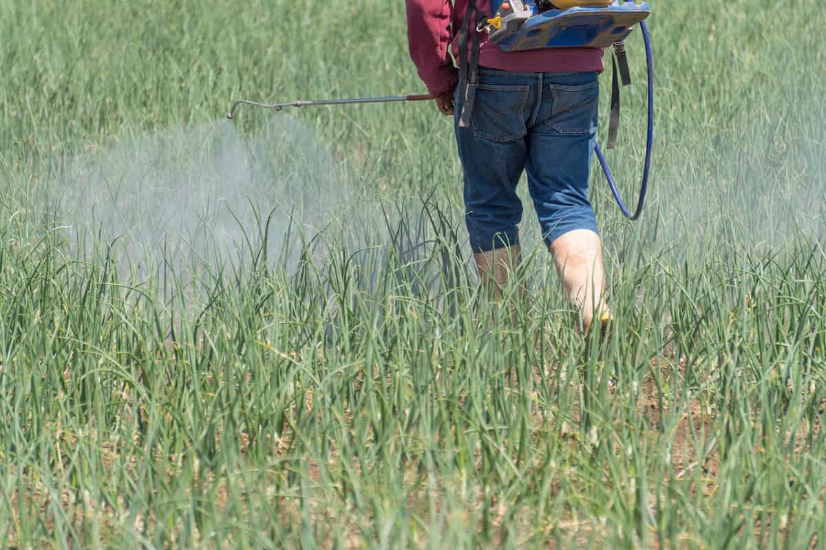 Farmer Spraying Fertilizer