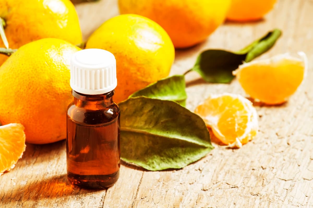Tangerine Oil