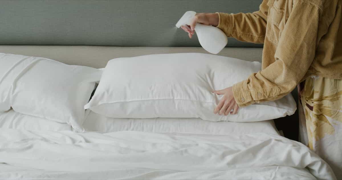 Spraying on the Bed to Get Protection from Bed Bugs
